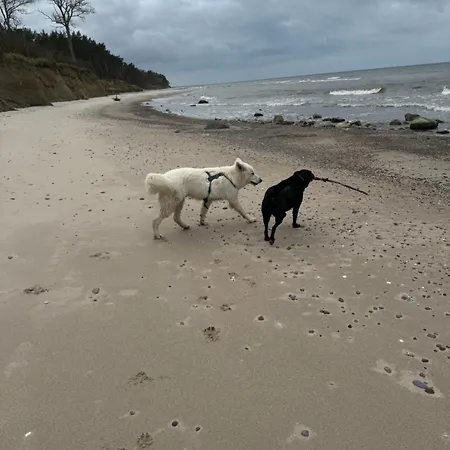 Corner House 아파트