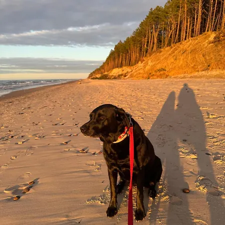 Corner House Pleśna