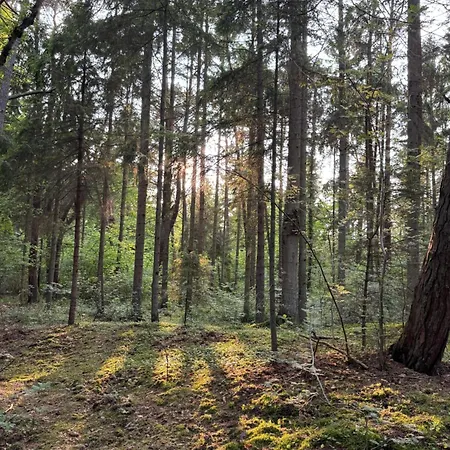 Corner House Lejlighed Pleśna