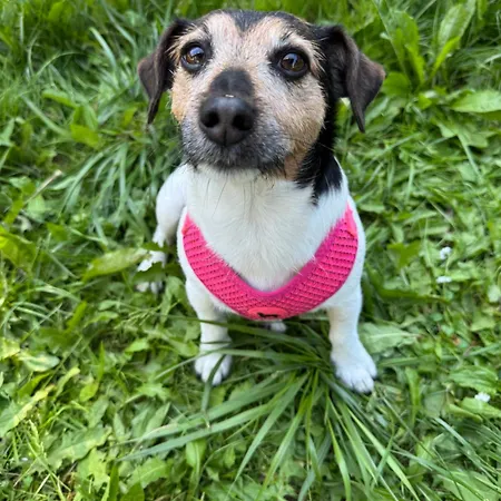 Corner House 아파트 *