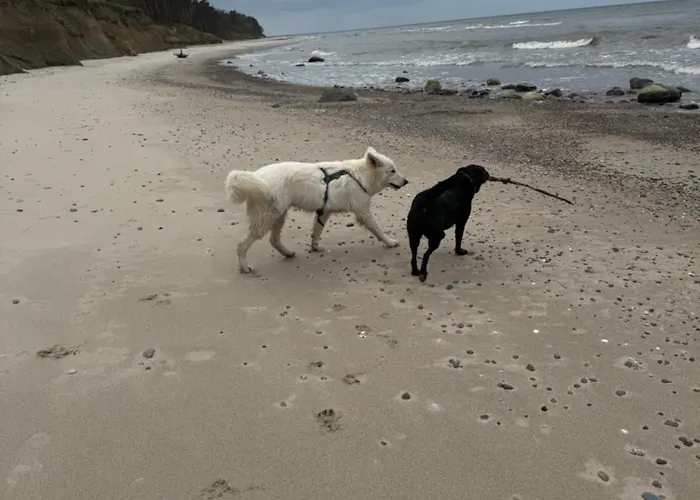 Corner House Lejlighed