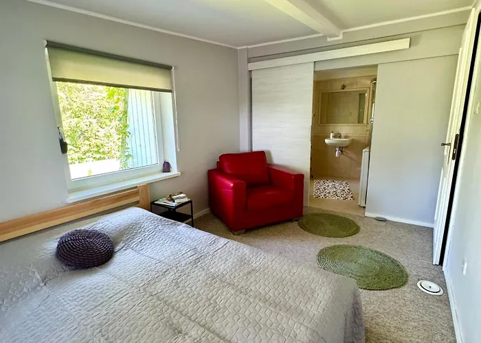 Corner House * Pleśna