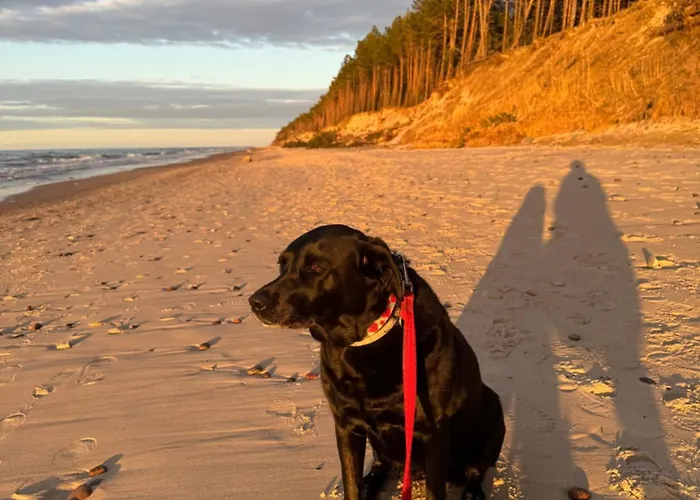 Corner House Pleśna