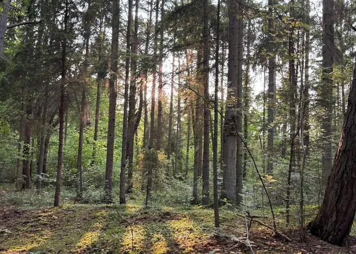 Corner House Apartamento Pleśna