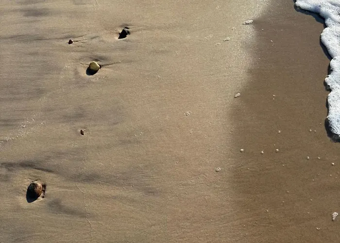 Corner House Pleśna