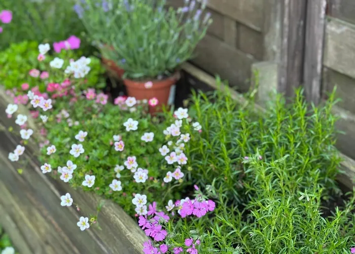 Lejlighed Corner House *